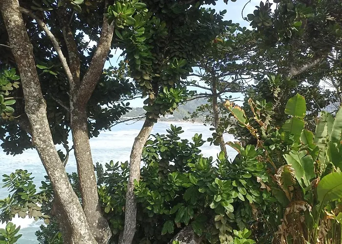 s Margarida